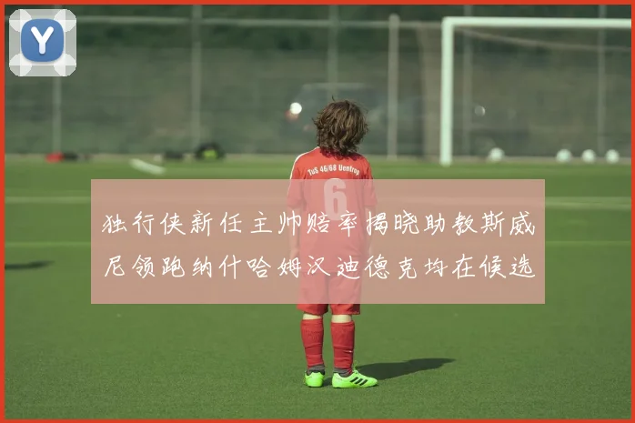 独行侠新任主帅赔率揭晓助教斯威尼领跑纳什哈姆汉迪德克均在候选之中